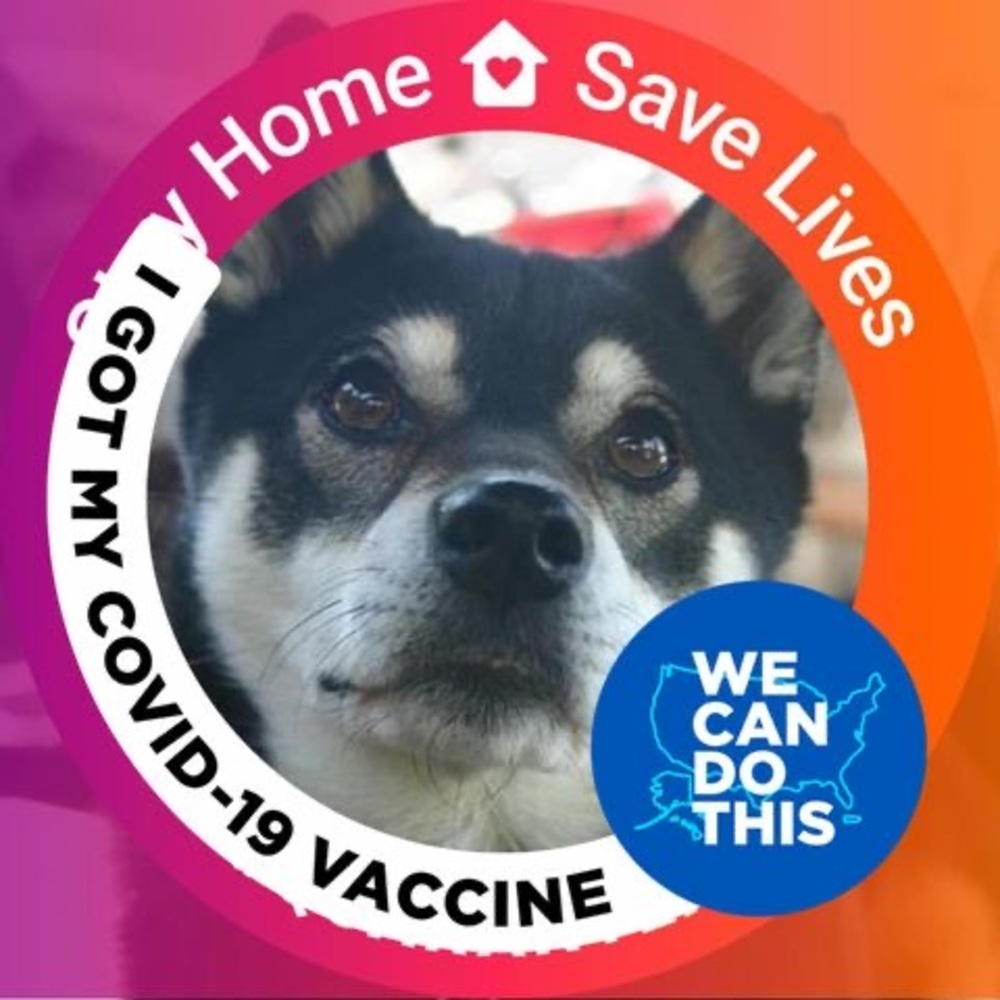 Meet your Posher, Raquel